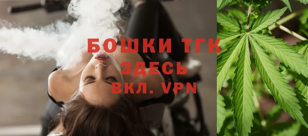 стаф Арсеньев