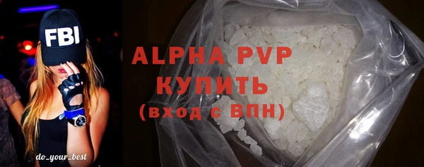 стаф Арсеньев