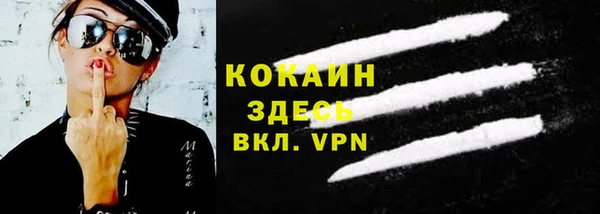 стаф Арсеньев
