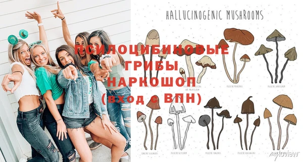 гашик Армянск
