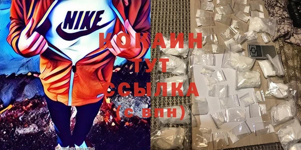 стаф Арсеньев