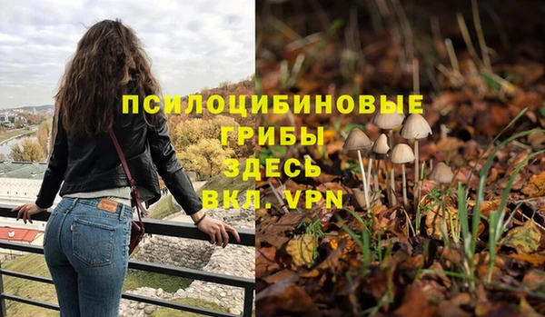 стаф Арсеньев