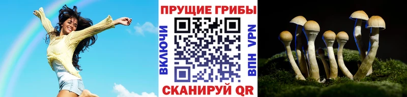 blacksprut рабочий сайт  что такое   Гудермес  Псилоцибиновые грибы MAGIC MUSHROOMS 